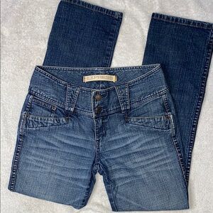 Express Dark Wash Denim Jeans